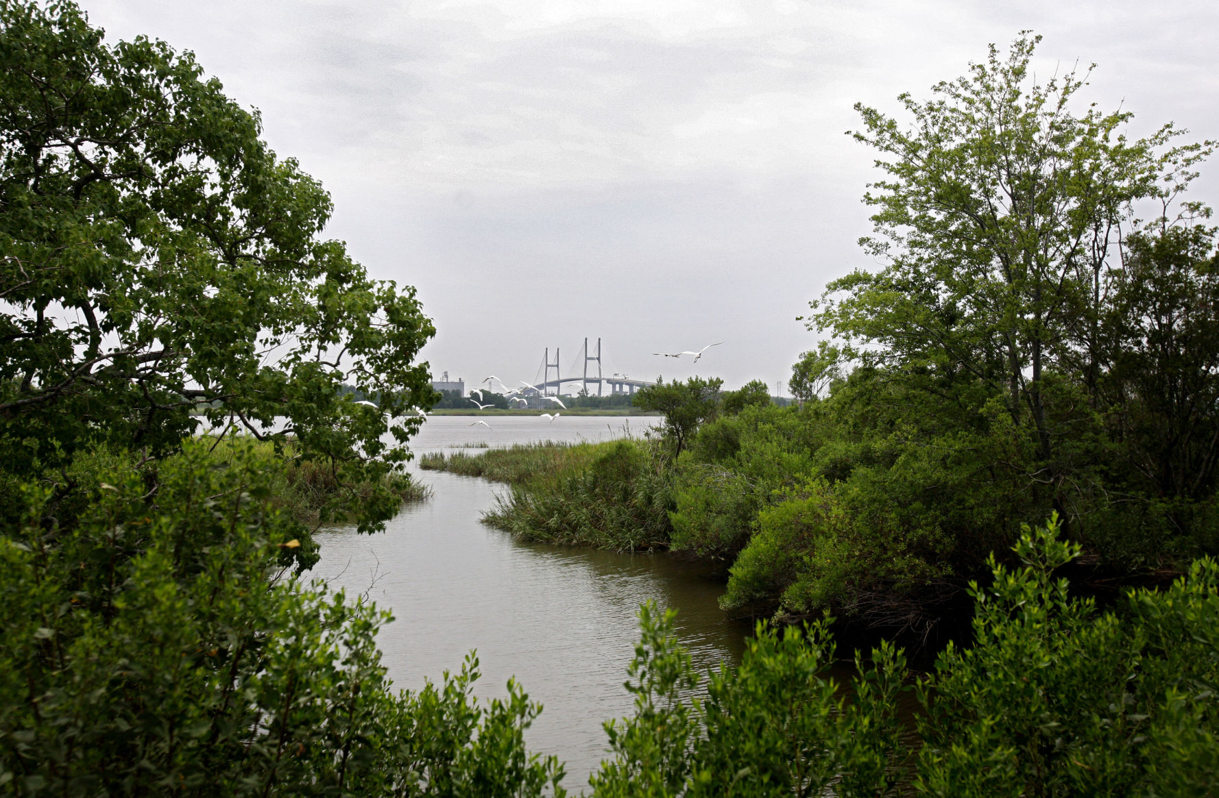 South Carolina-Georgia port board to meet in Charleston